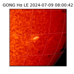gong - 2024-07-09T08:00:42