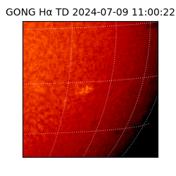 gong - 2024-07-09T11:00:22