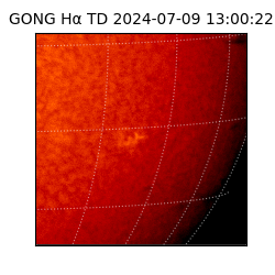 gong - 2024-07-09T13:00:22