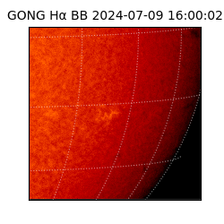 gong - 2024-07-09T16:00:02