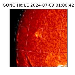 gong - 2024-07-09T01:00:42