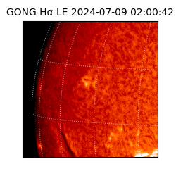 gong - 2024-07-09T02:00:42