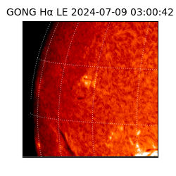 gong - 2024-07-09T03:00:42
