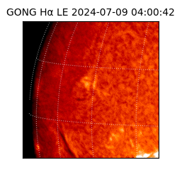 gong - 2024-07-09T04:00:42