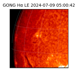 gong - 2024-07-09T05:00:42