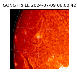 gong - 2024-07-09T06:00:42