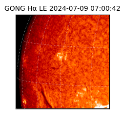 gong - 2024-07-09T07:00:42