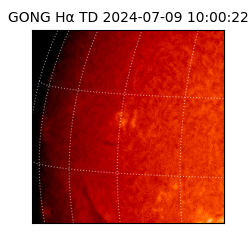 gong - 2024-07-09T10:00:22
