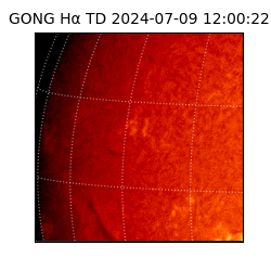 gong - 2024-07-09T12:00:22