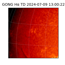 gong - 2024-07-09T13:00:22