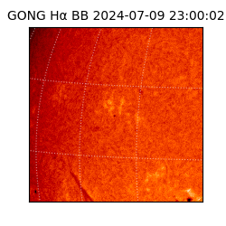 gong - 2024-07-09T23:00:02