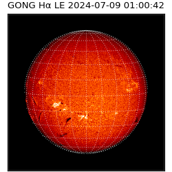 gong - 2024-07-09T01:00:42