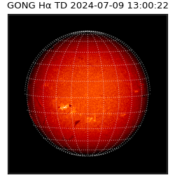 gong - 2024-07-09T13:00:22