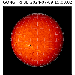 gong - 2024-07-09T15:00:02