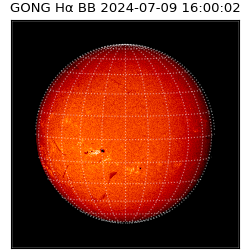 gong - 2024-07-09T16:00:02