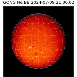 gong - 2024-07-09T21:00:02