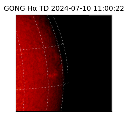 gong - 2024-07-10T11:00:22