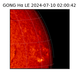 gong - 2024-07-10T02:00:42
