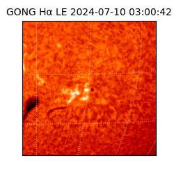 gong - 2024-07-10T03:00:42