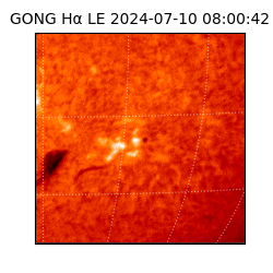 gong - 2024-07-10T08:00:42