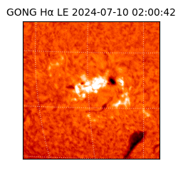 gong - 2024-07-10T02:00:42