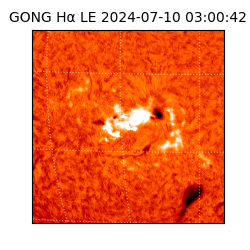 gong - 2024-07-10T03:00:42