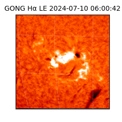 gong - 2024-07-10T06:00:42