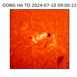 gong - 2024-07-10T09:00:22