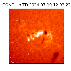 gong - 2024-07-10T12:03:22