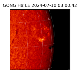gong - 2024-07-10T03:00:42