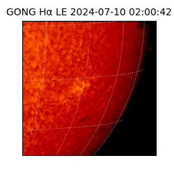 gong - 2024-07-10T02:00:42