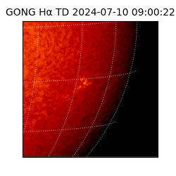 gong - 2024-07-10T09:00:22