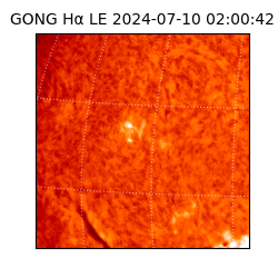 gong - 2024-07-10T02:00:42