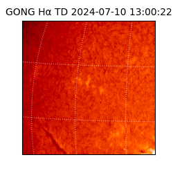 gong - 2024-07-10T13:00:22