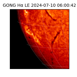 gong - 2024-07-10T06:00:42