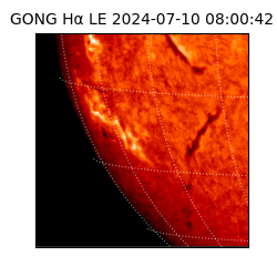 gong - 2024-07-10T08:00:42