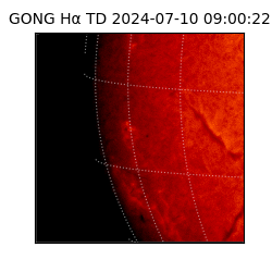 gong - 2024-07-10T09:00:22