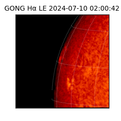 gong - 2024-07-10T02:00:42
