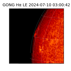 gong - 2024-07-10T03:00:42