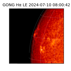 gong - 2024-07-10T08:00:42