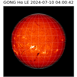 gong - 2024-07-10T04:00:42