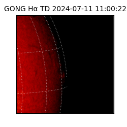 gong - 2024-07-11T11:00:22