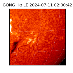 gong - 2024-07-11T02:00:42