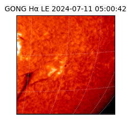 gong - 2024-07-11T05:00:42