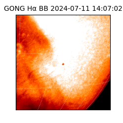 gong - 2024-07-11T14:07:02