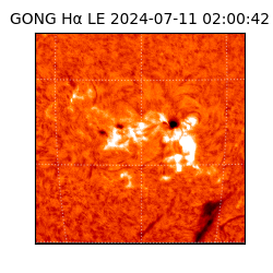 gong - 2024-07-11T02:00:42