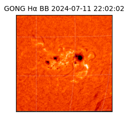 gong - 2024-07-11T22:02:02