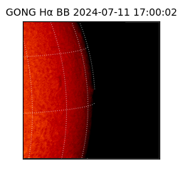 gong - 2024-07-11T17:00:02