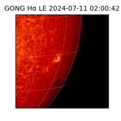 gong - 2024-07-11T02:00:42