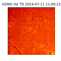 gong - 2024-07-11T11:00:22